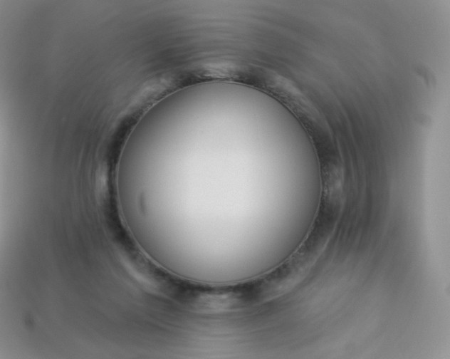 X0000114160213200910221615