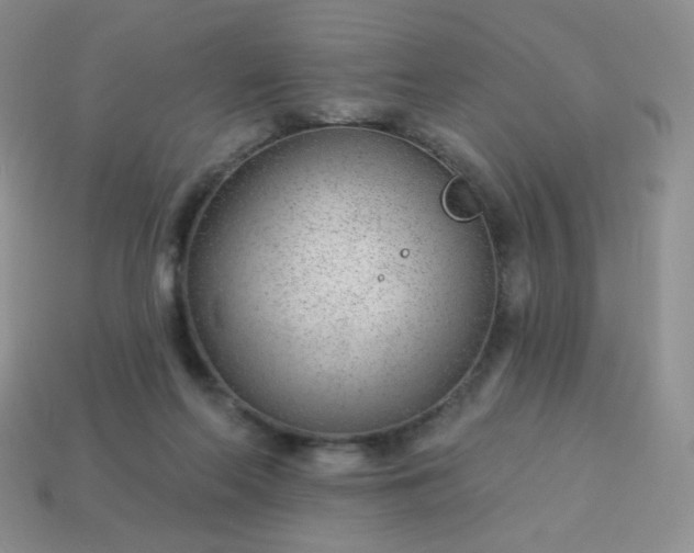 X0000114160214200910221615