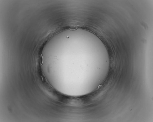 X0000114160215200910221615