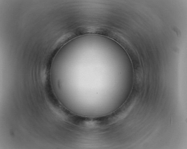 X0000114160216200910221615