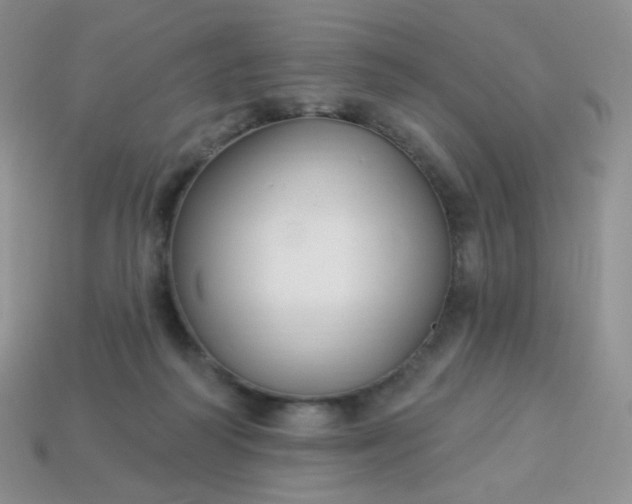 X0000114160218200910221615