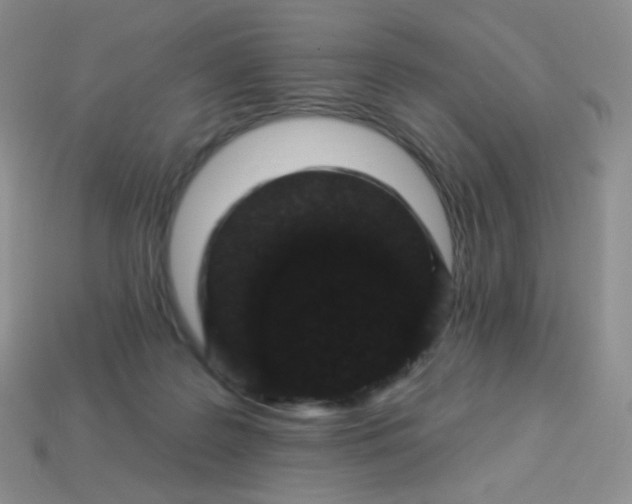 X0000114160219200910221615