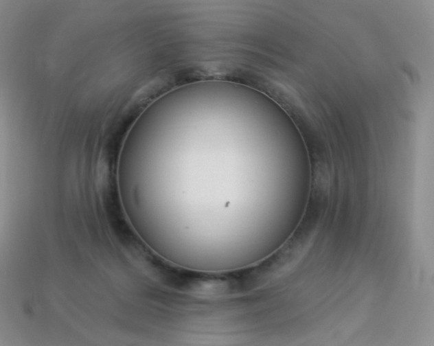 X0000114160220200910221615