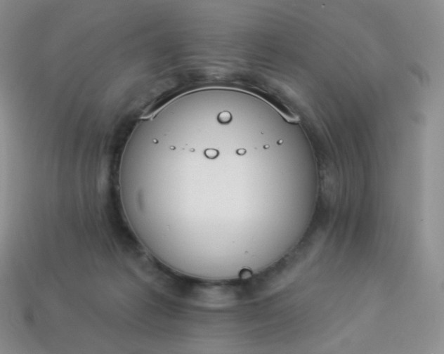 X0000114160221200910221615