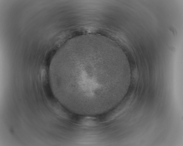 X0000114160222200910221615