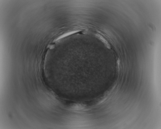 X0000114160223200910221615