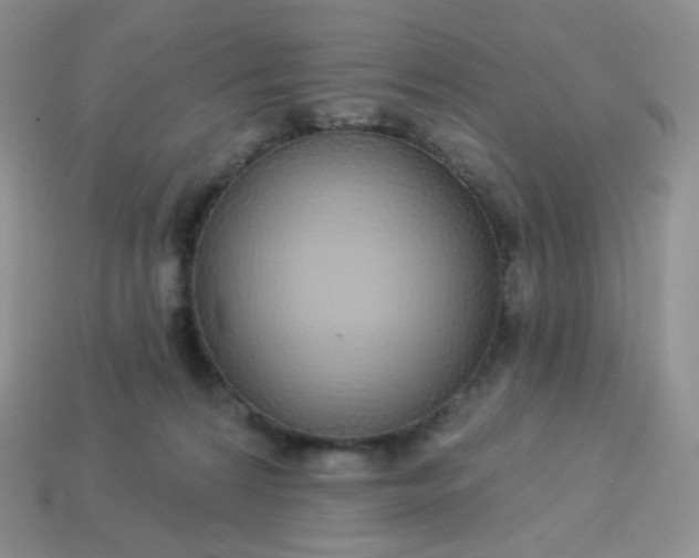 X0000114160224200910221615