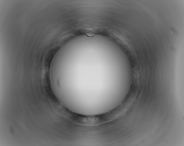 X0000114160225200910221615