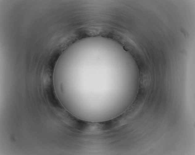 X0000114160226200910221615