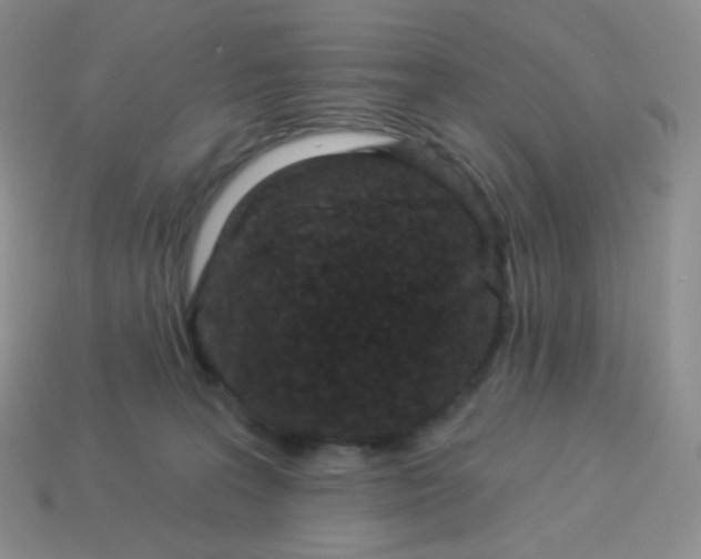 X0000114160227200910221615