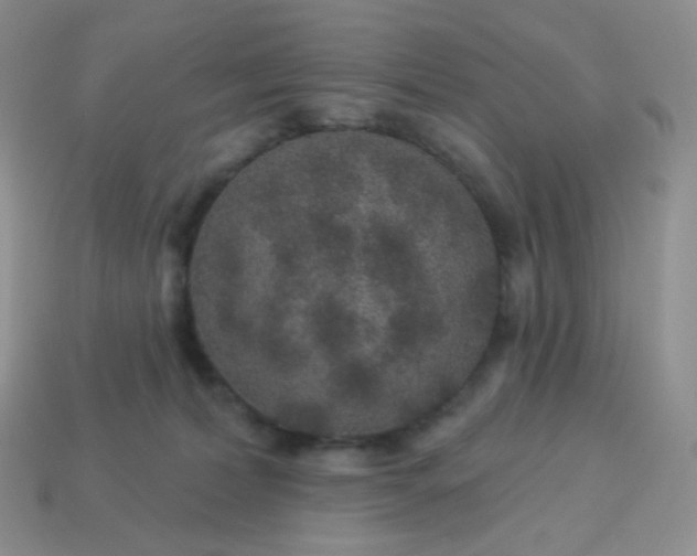 X0000114160228200910221615