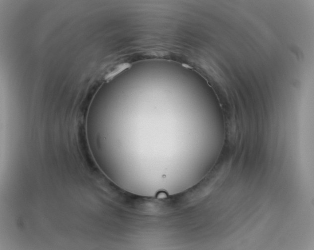 X0000114160229200910221615