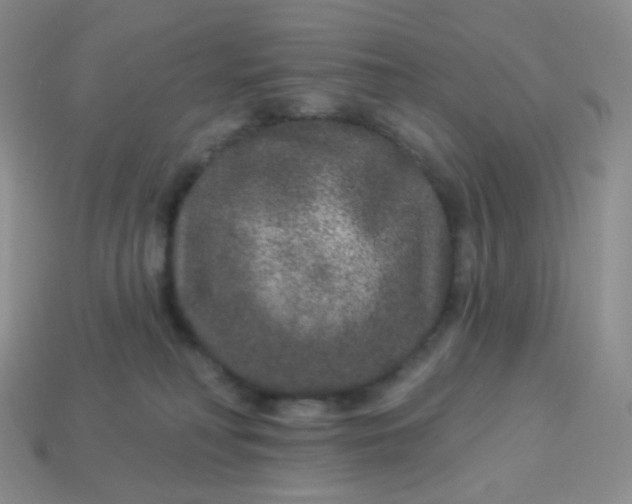 X0000114160230200910221615