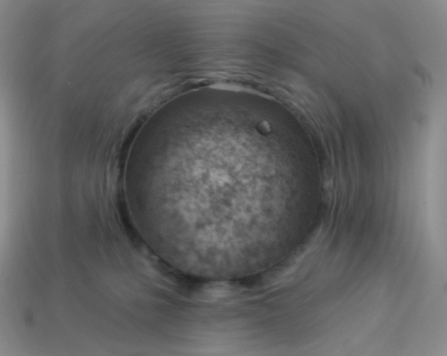 X0000114160231200910221615