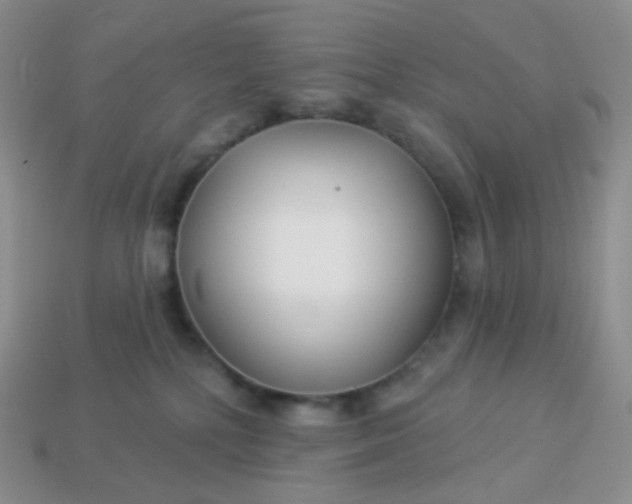 X0000114160232200910221615