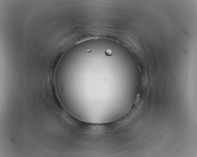 X0000114160233200910221615