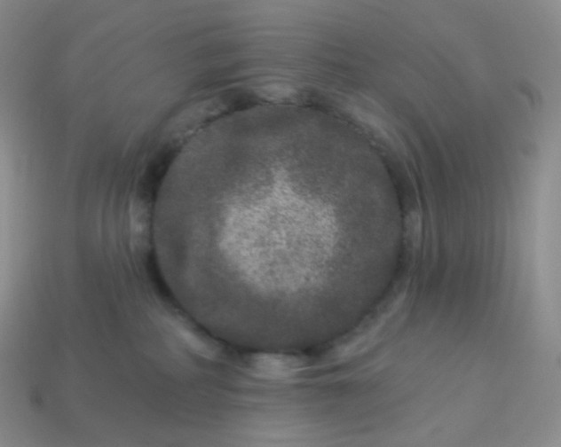 X0000114160234200910221615