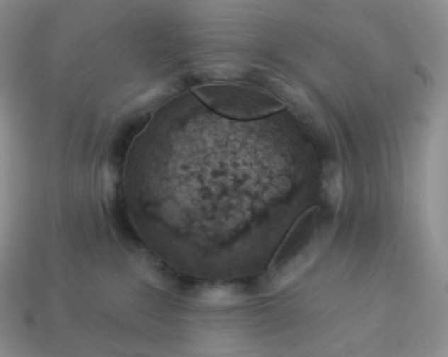 X0000114160235200910221615