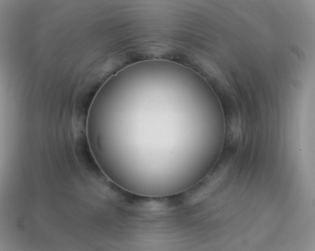 X0000114160236200910221615