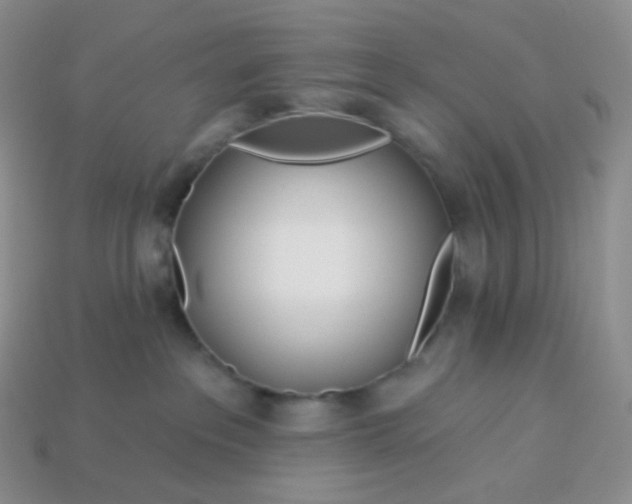 X0000114160237200910221615