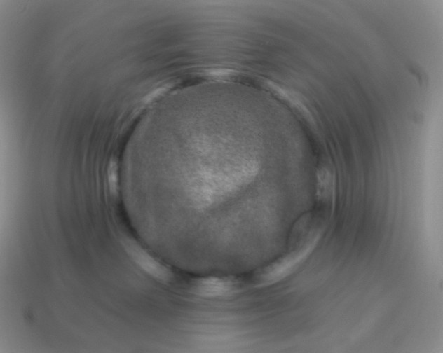 X0000114160238200910221615