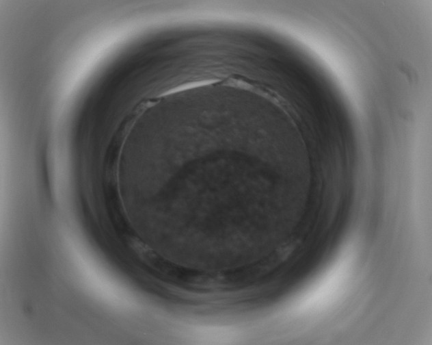 X0000114160239200910221615