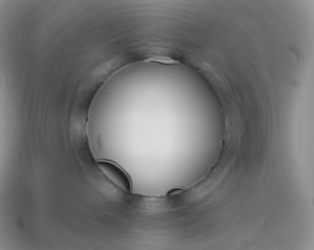 X0000114160240200910221615