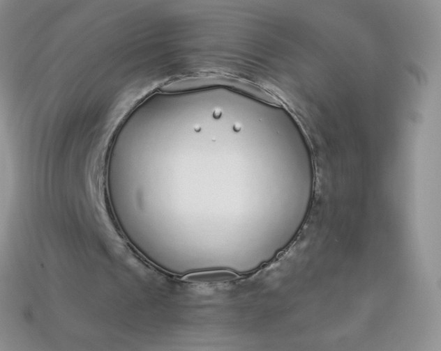 X0000114160241200910221614