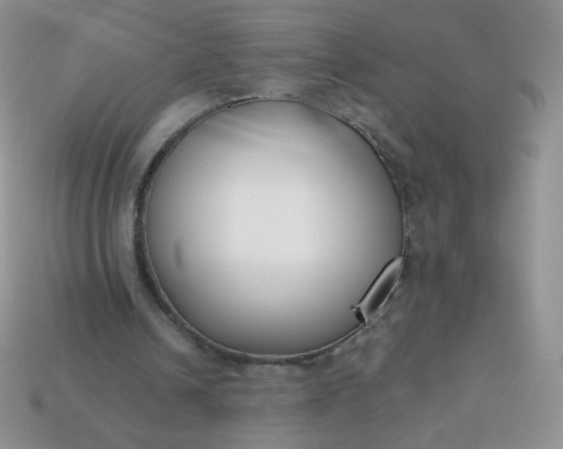 X0000114160242200910221614