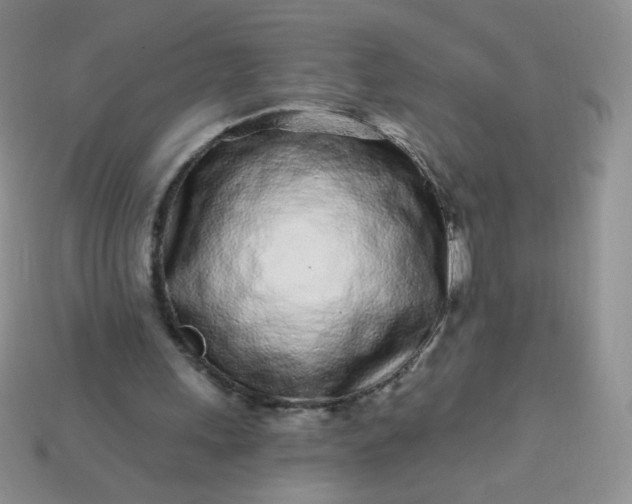 X0000114160243200910221614