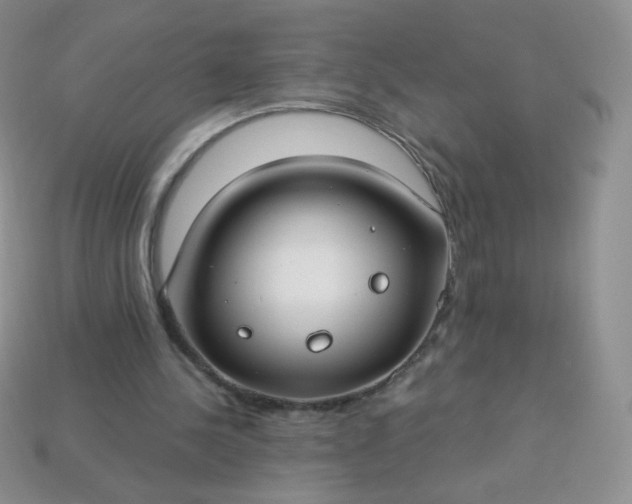 X0000114160244200910221614