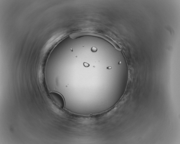 X0000114160245200910221614