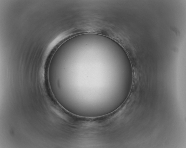 X0000114160246200910221614