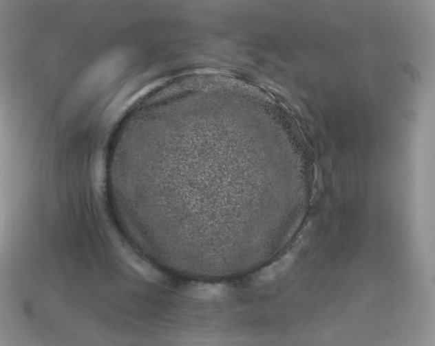 X0000114160247200910221614