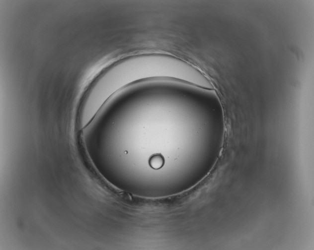 X0000114160248200910221614