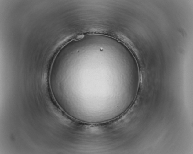 X0000114160249200910221614