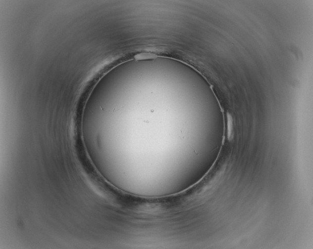 X0000114160252200910221614