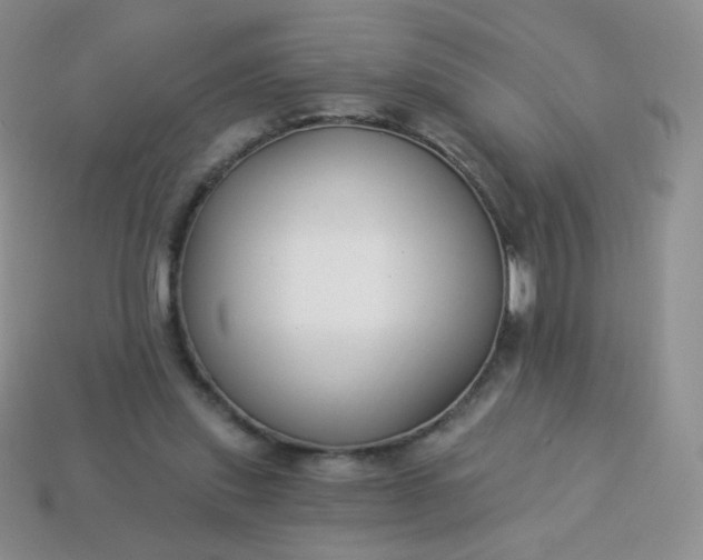 X0000114160253200910221614