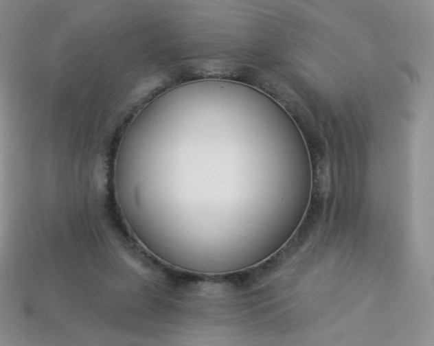 X0000114160255200910221614