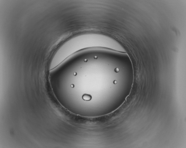 X0000114160256200910221614