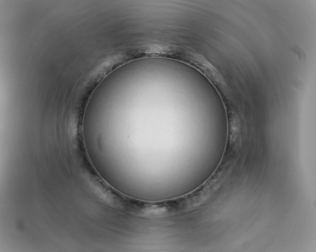 X0000114160257200910221614