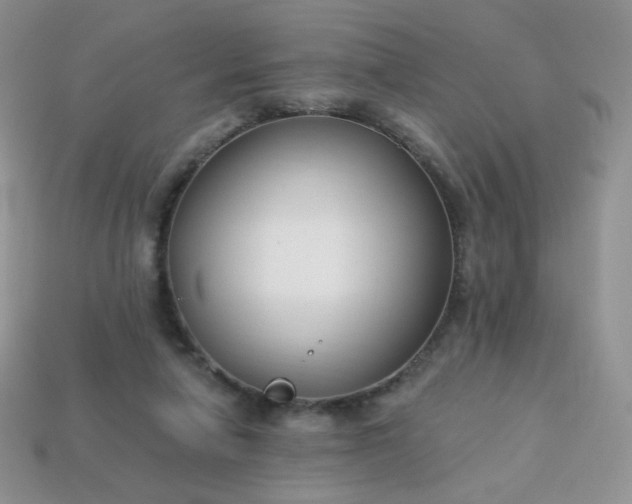 X0000114160258200910221614