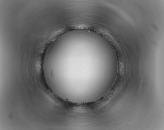 X0000114160259200910221614