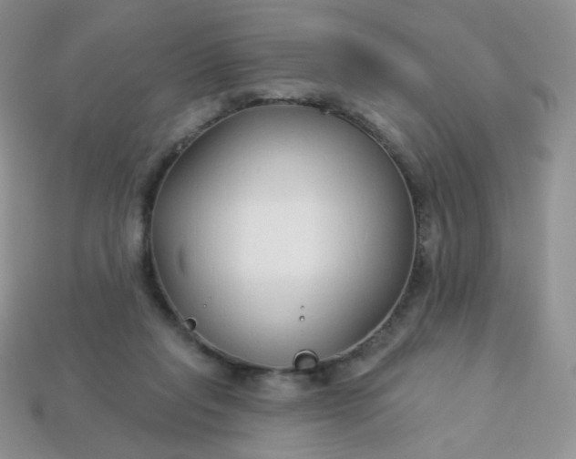 X0000114160261200910221614