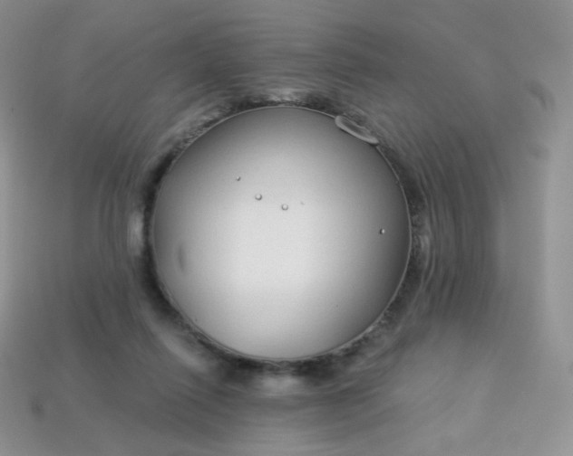 X0000114160262200910221614