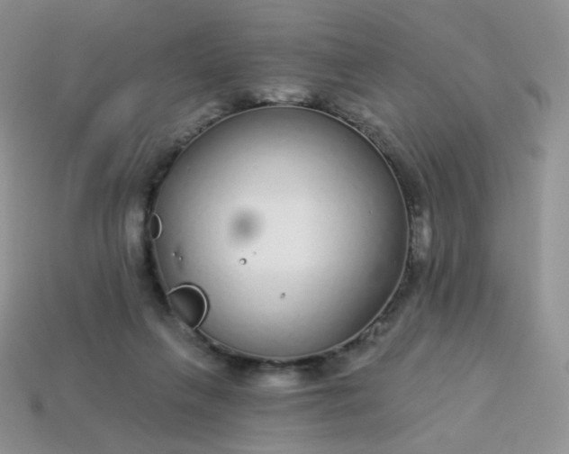 X0000114160263200910221614