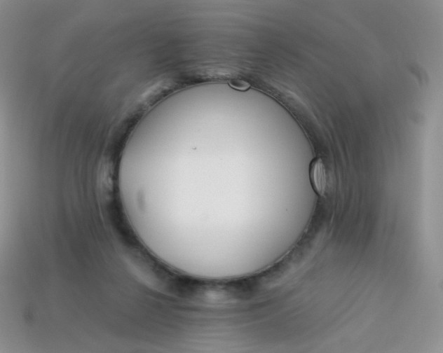 X0000114160264200910221614