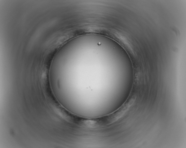 X0000114160265200910221614