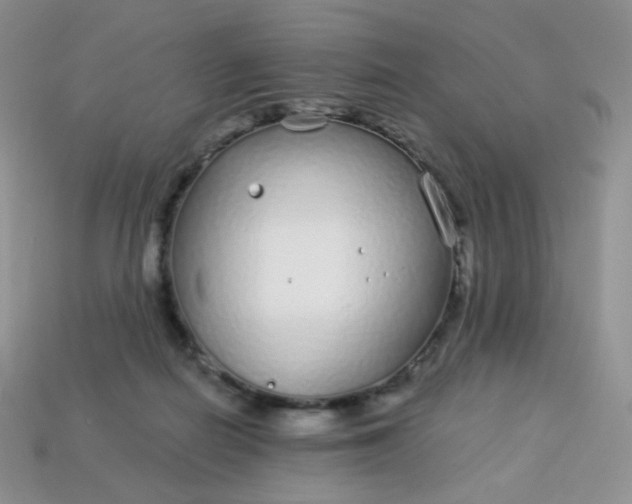 X0000114160266200910221614