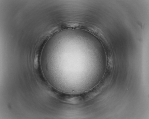 X0000114160267200910221615